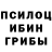 Псилоцибиновые грибы MAGIC MUSHROOMS Denis Plyasunov
