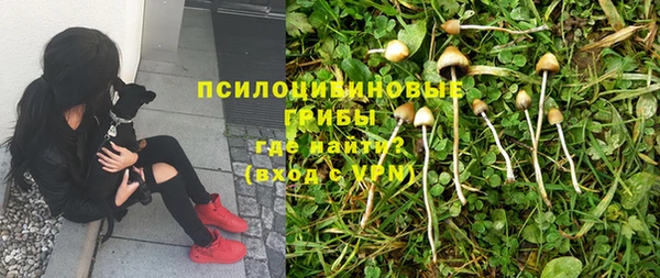 кокаин Богданович